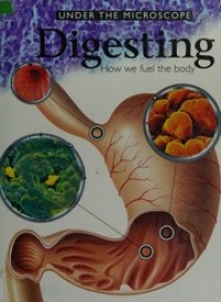 Digesting: How We Fuel the Body