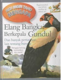 Elang Bangkai Berkepala Gundul