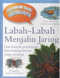 Labah-Labah Menjalin Jaring