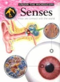 Senses: How We Connect With The World