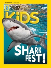 Shark Fest!