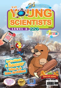 The Young Scientists: Let's Meet A Beaver Who is A Dam Architect