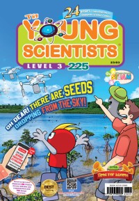 The Young Scientists: Oh Dear! There Are Seeds Dropping From The Sky!