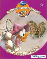 Insects and Spiders
