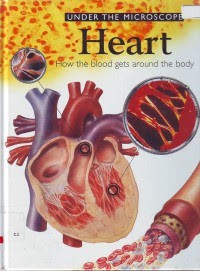 Heart: How the Blood Gets Around the Body